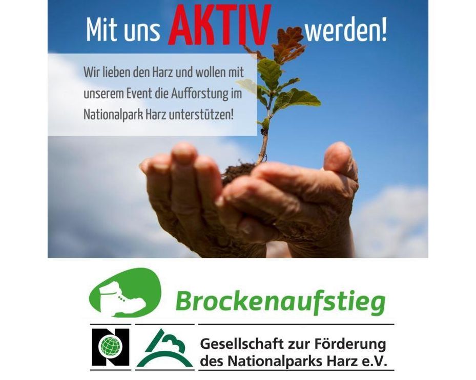 Harz Brocken Nationalpark Baumspende Göttingen Brockenaufstieg Nicolai Fleischer Abenteuer Klimawandel Waldsterben