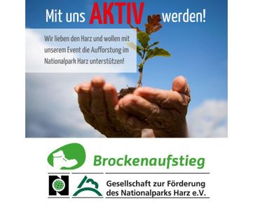 Harz Brocken Nationalpark Baumspende Göttingen Brockenaufstieg Nicolai Fleischer Abenteuer Klimawandel Waldsterben