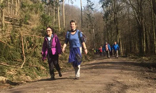 Wandertraining
