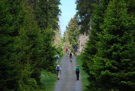 Mitten im Harz